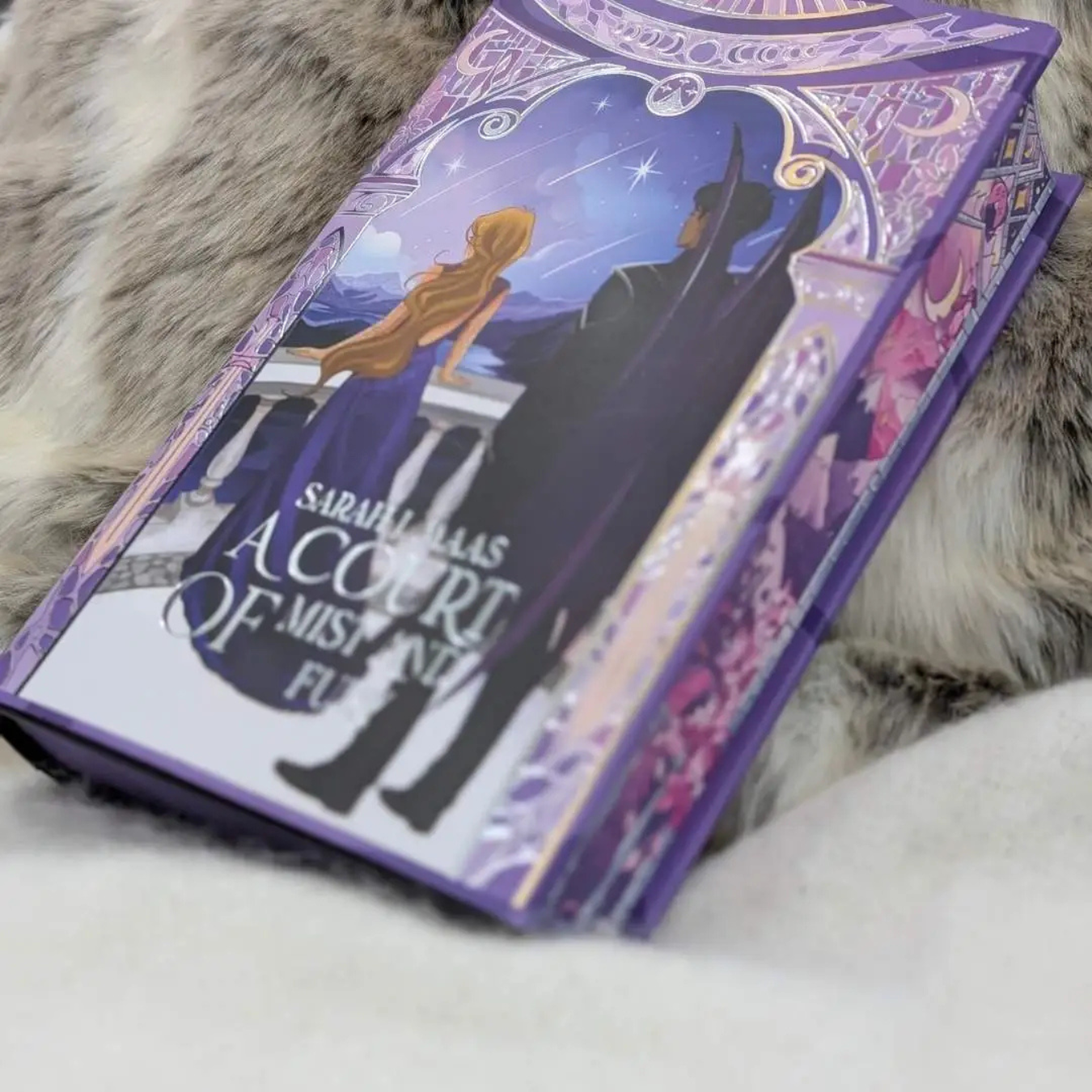 PREORDER NOV/DEC 25 - ACOTAR Stained Glass Edition by Sarah J. Maas